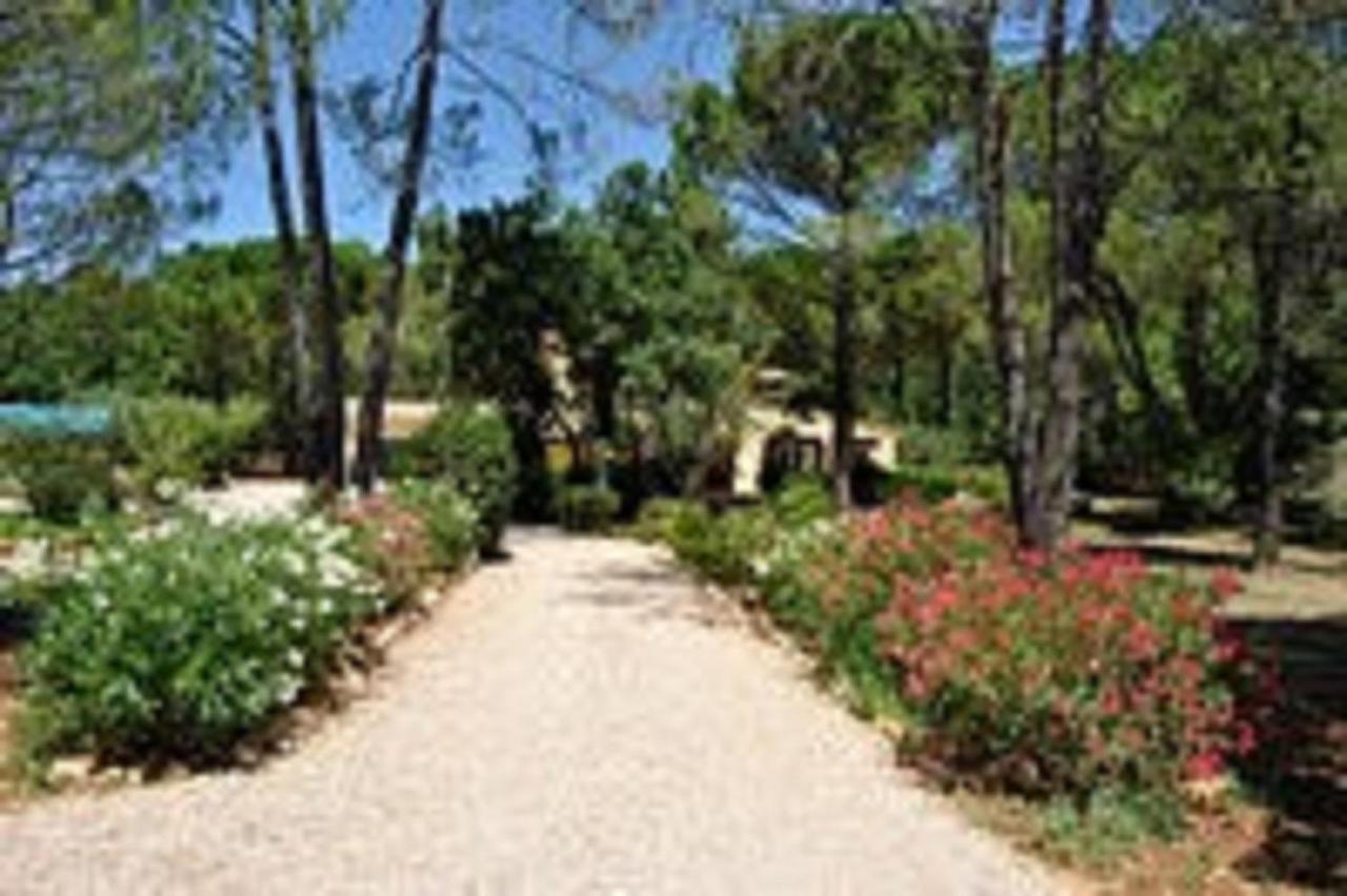 La Maison De La Cigale Forcalqueiret Bagian luar foto