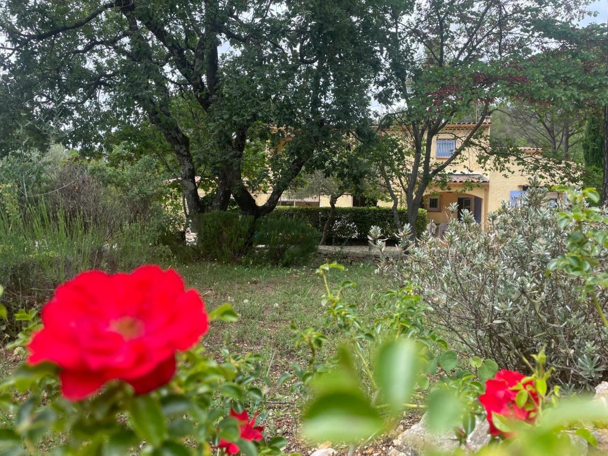 La Maison De La Cigale Forcalqueiret Bagian luar foto